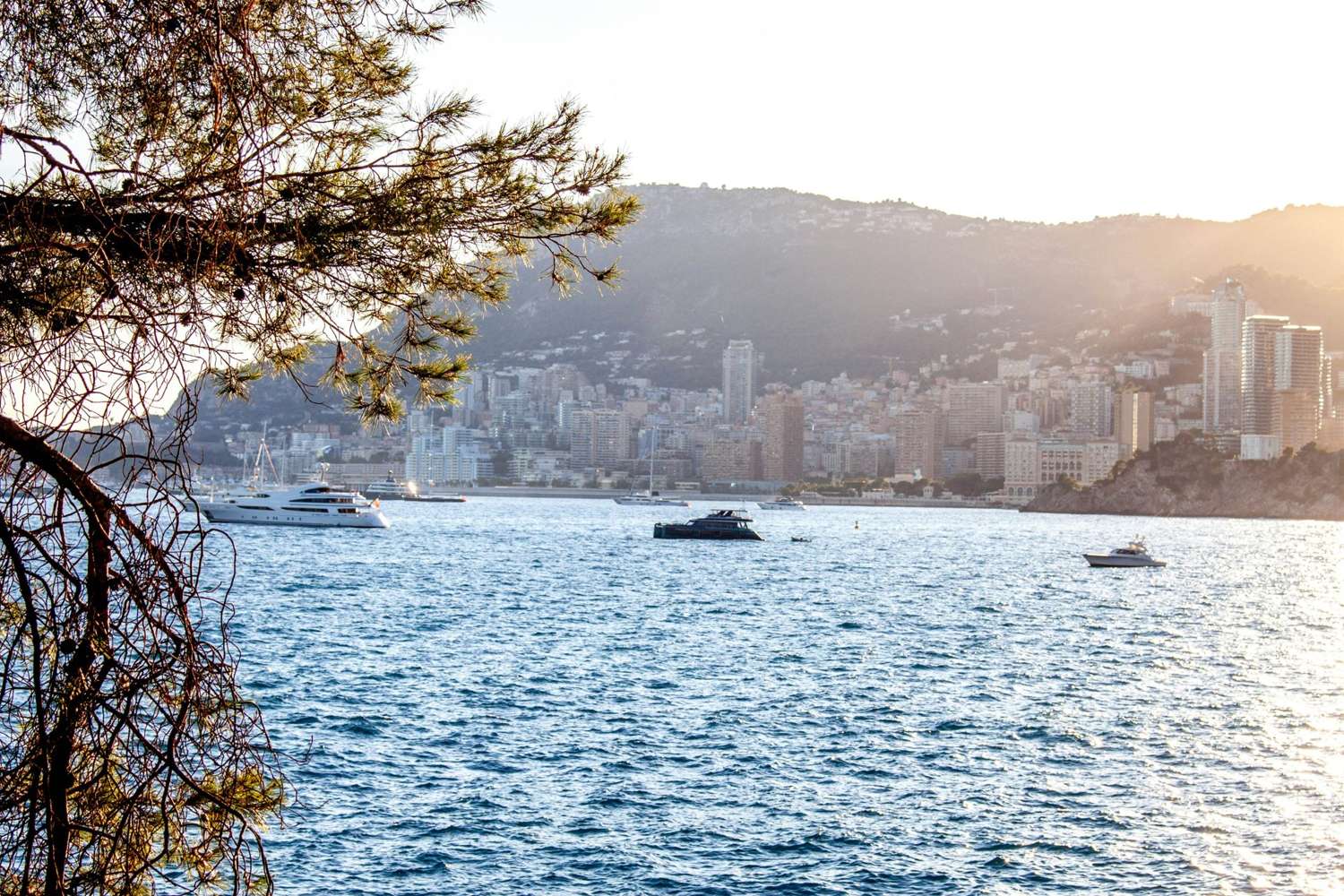 Monaco yacht